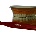 Lactona Teeth & Tooth Brush 3.5x5.5x4.5