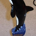 Alaskan Orca