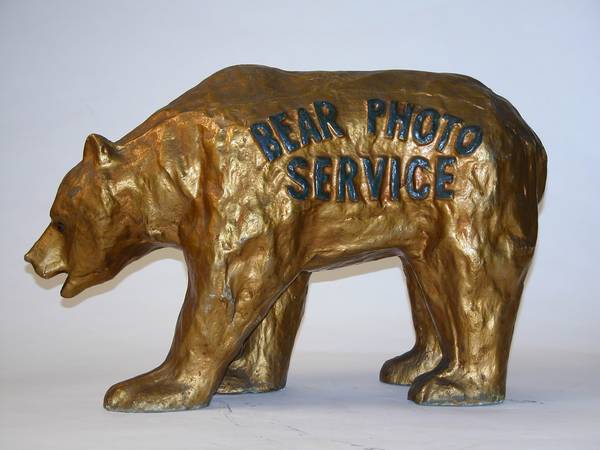 Bear Photo Service 15.5x25x10