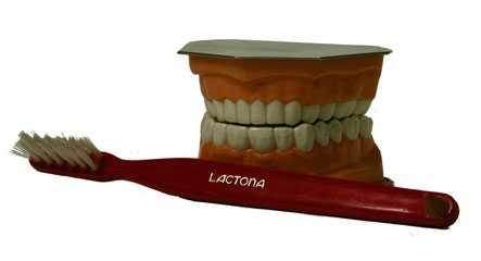 1Lactona-Teeth-_-Tooth-Brush-3_5-x-5_5-x-4_5.jpg