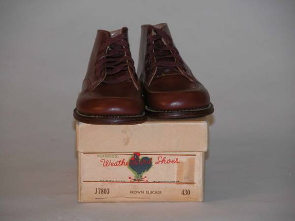 Weather Bird Shoes 2.75x5.5x2.5
