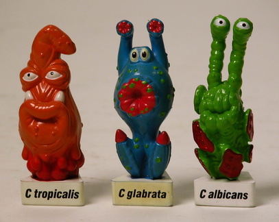 C.albicans-C.glabrata-C.tropicalis-3-x-1-x-1