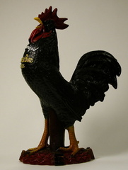 Weather-Bird-Shoes-25-x-16.5-x-8.5